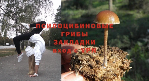 не бодяженный Надым