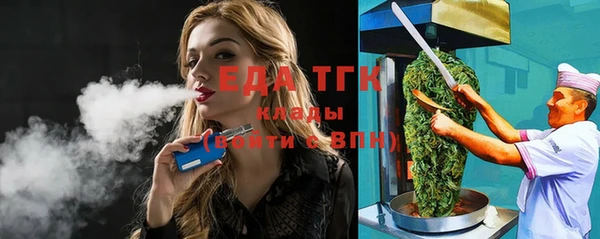 шишки Абаза