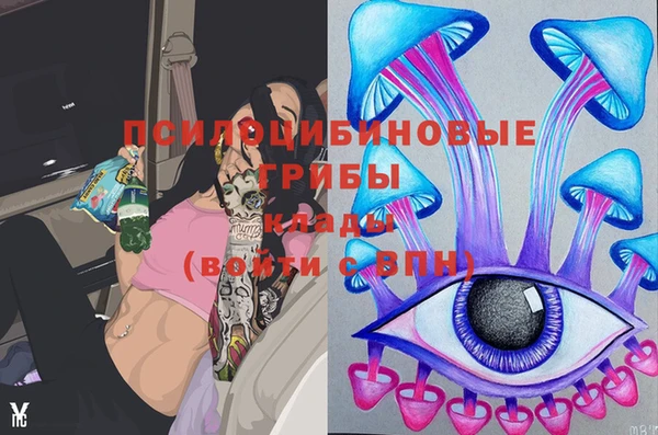 не бодяженный Надым