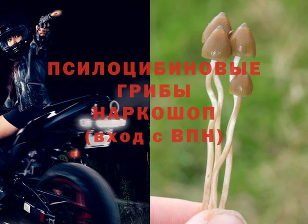 мяу мяу мука Навашино