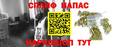 твердый Гай