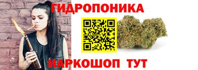 сатива Беслан