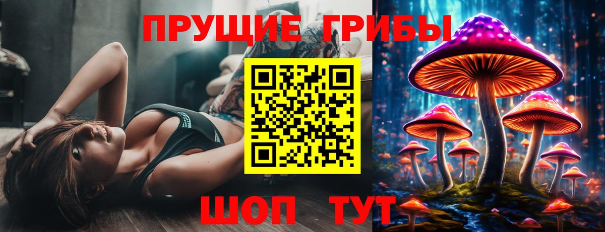 Псилоцибиновые грибы мухоморы Дятьково