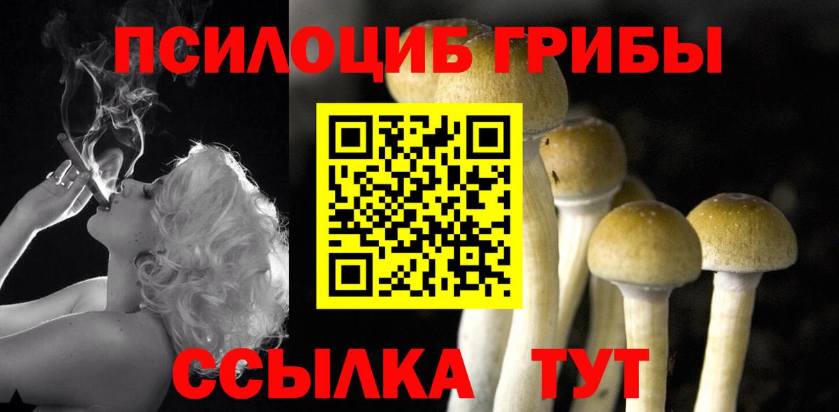 Дятьково  Псилоцибиновые грибы прущие грибы  Вход с VPN 